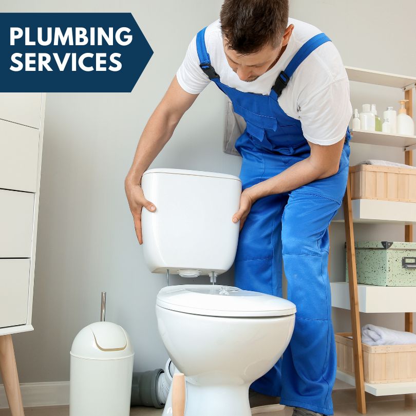 Plumbing Company in Hamer, ID